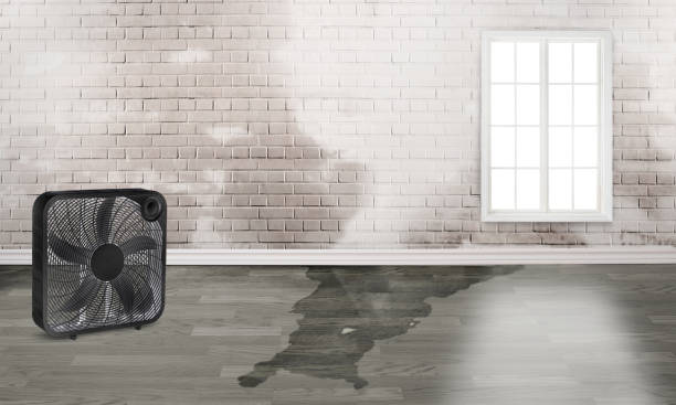 Best Water damage restoration process  in Forest Heights, MD