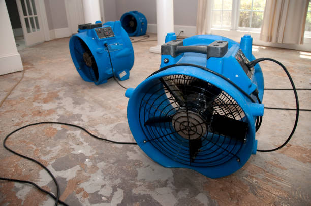 Best Flood restoration services  in Forest Heights, MD