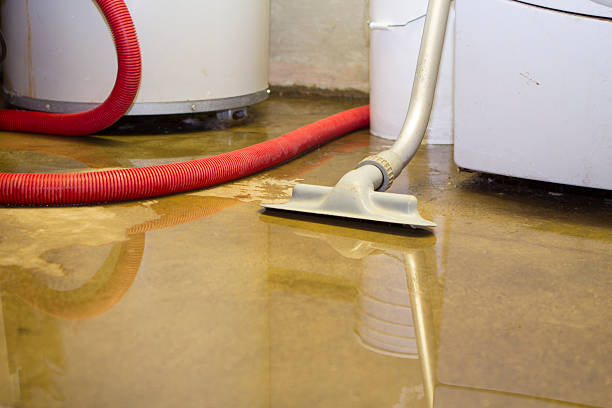 Best Water damage cleanup near me  in Forest Heights, MD