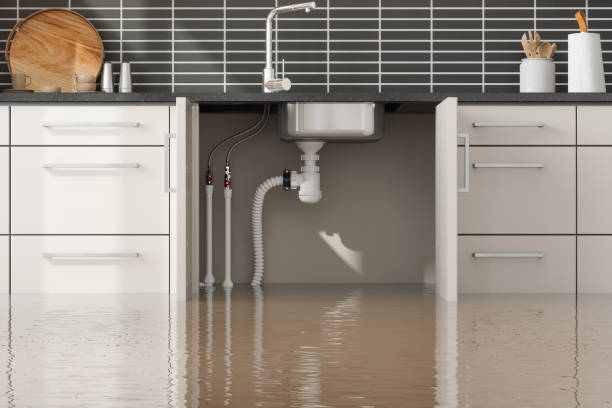 Best Mold removal after water damage  in Forest Heights, MD