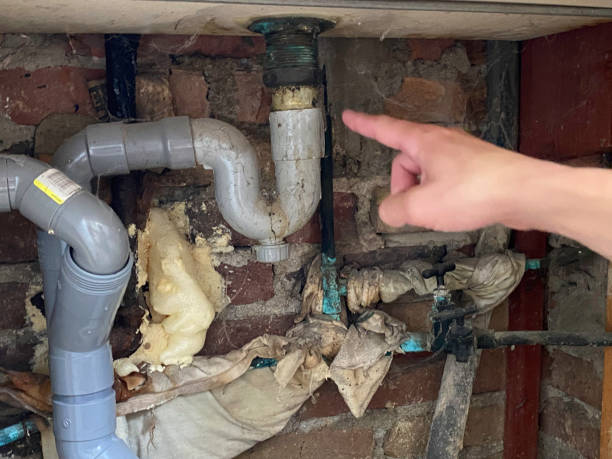 Best Water damage restoration near me  in Forest Heights, MD