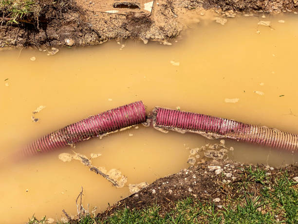 Best Water damage contractors near me  in Forest Heights, MD